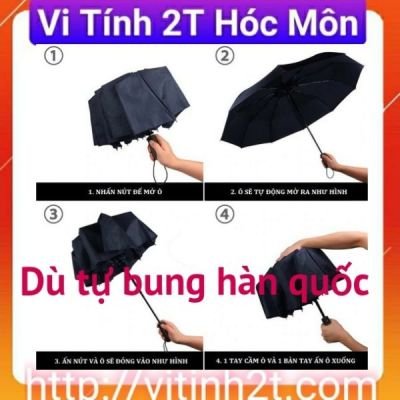 Dù tự bung hàn quốc