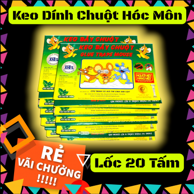 ( CÓ VAT) Lốc 20 tấm keo dính chuột đại lộc Keo dính chuột Hóc Môn