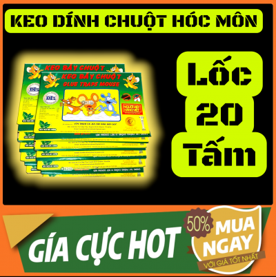 ( CÓ VAT) Lốc 20 tấm keo dính chuột đại lộc Keo dính chuột Hóc Môn