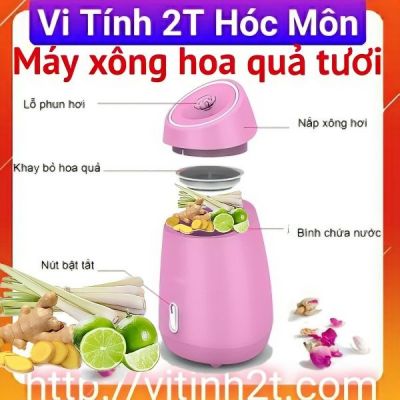 MÁY XÔNG HƠI DA MẶT HOA QUẢ TƯƠI