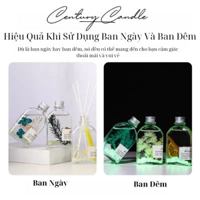 Tinh Dầu Khuếch Tán Thơm Phòng Mùi Hương Thiên Nhiên Hoa Khô Phát Sáng Ban Đêm Century Candle