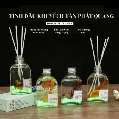 Tinh Dầu Khuếch Tán Thơm Phòng Mùi Hương Thiên Nhiên Hoa Khô Phát Sáng Ban Đêm Century Candle