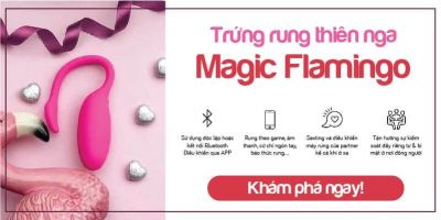 trứng rung điều khiển qua app thiên nga Flamingo, trứng rung thiên nga Flamingo loại xịn