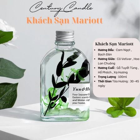 Tinh Dầu Khuếch Tán Thơm Phòng Mùi Hương Thiên Nhiên Hoa Khô Phát Sáng Ban Đêm Century Candle