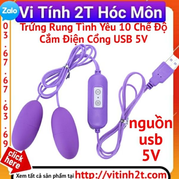 Trứng rung tình yêu cắm sạc USB 2 đầu cực tê tái